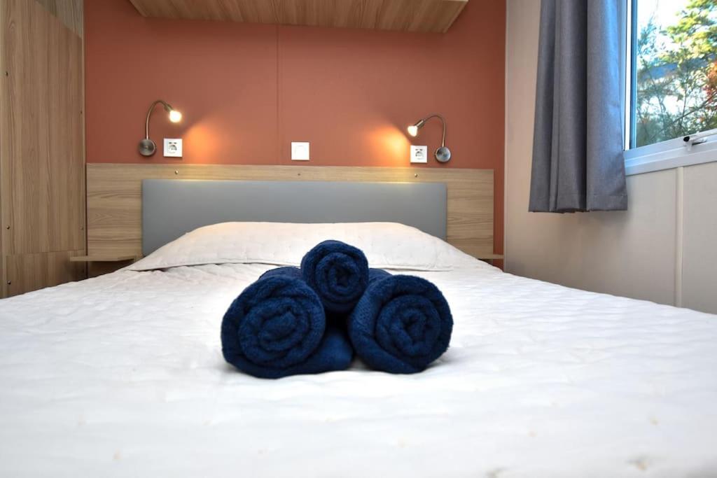 생 힐레르 드 리에 La Roseliere ❁ Piscine ❁ Tranquillite 아파트 외부 사진