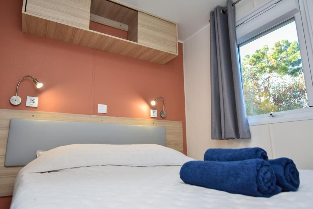 생 힐레르 드 리에 La Roseliere ❁ Piscine ❁ Tranquillite 아파트 외부 사진